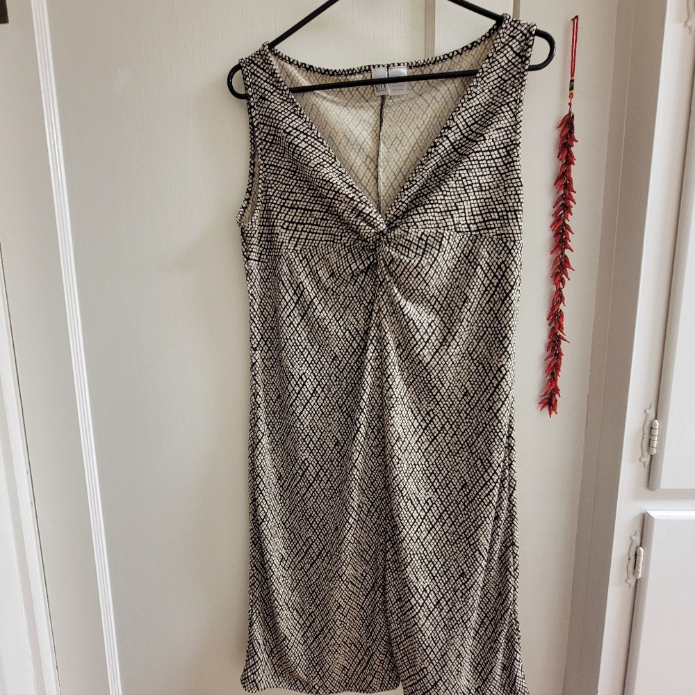 City DKNY Sleeveless Dress